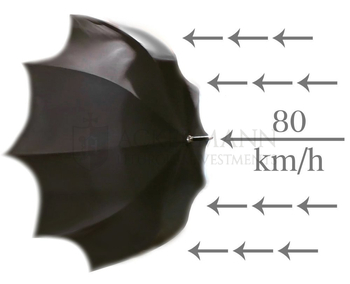 Umbrella Carbon Steel Automatic Open & Close UXL-CZ87