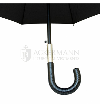 10 Rippen Regenschirm automatisches Öffnen MA-762